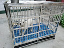 金百特【升级满焊加粗加厚】圆管笼不锈钢狗笼子大型犬宠物狗别墅金毛 加粗加厚不锈钢 【折叠款】-125*79*105cm 实拍图