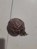 百香果 钦蜜9号黄金百香果 新鲜水果 茶饮水果原料 西番莲 鸡蛋果 10枚装 【超美味大果】单果60-70g 实拍图
