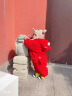 honeysky哈尼天空新生儿衣服婴儿连体衣冬季男女宝宝动物造型棉衣加厚保暖哈衣长袖爬爬服连帽外出服 小锦鲤 90cm(1-2岁) 晒单实拍图