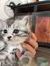 迪尤克猫粮生态源幼猫成猫全阶段通用猫粮天然猫粮成猫猫粮 【递乐系列】鸡肉鱼肉味1.5KG 实拍图
