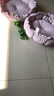 宠多乐狗玩具 狗狗磨牙结绳玩具 宠物玩具 狗狗咬绳麻绳 金毛泰迪耐咬玩 磨牙咬绳骨头 实拍图