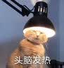从一到无穷大：科学中的事实与猜想 实拍图