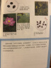 奇妙图书馆种子图鉴 儿童科普读物幼儿园早教自然科学科普书儿童科普读物一粒种子的旅行儿童图画书绘本 不可思议的果实种子花卉养殖入门认知 儿童年货节送礼 实拍图