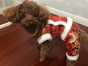 华元宠具（hoopet）小狗狗过年唐装喜庆衣服小型犬四脚泰迪比熊吉娃娃宠物秋冬季服装 双层加厚四脚唐装 M:参考体重4-7斤 实拍图