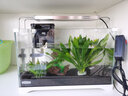 森森（SUNSUN）鱼缸水族箱超白玻璃水草缸造景桌面缸 超白420标配缸+假山造景 实拍图