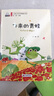 飞来的青蛙（彩色注音版）儿童文学名家精选书系 汇聚金波 沈石溪 常新港 冰波 汤素兰等50多位名家名作 实拍图