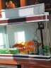 创海智能桌面鱼缸客厅家用玻璃金鱼缸客厅长方形中型赖人免换水水族箱 白色 61*31.5*49CM 单缸 晒单实拍图