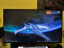 LG 27英寸 4K NanoIPS 160Hz(O/C) HDMI2.1 HDR600 硬件校准 1000:1 PS5 Fast游戏电竞显示器27GP95U 晒单实拍图