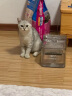 NPET宠物饮水机猫咪喝水碗自动循环流水过滤恒温加热猫喝水喷泉活水狗狗用品饮水器智能雷达感应不插电 透明款滤芯8片 （一年量） 实拍图