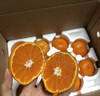 正宗浙江临海涌泉蜜橘桔子新鲜甜无核黄岩装薄皮蜜桔中秋送礼礼盒 【4A精品山地果】5斤 实拍图