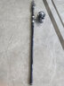达亿瓦（DAIWA） LBT C SURF 投竿 海钓竿投钓竿钓鱼竿鱼竿钓竿水库竿 海竿套装 裸竿40号-450（4.5米） 实拍图