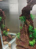 森森（SUNSUN）鱼缸水族箱超白玻璃水草缸造景桌面缸 超白420标配缸+假山造景 实拍图