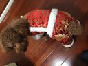 华元宠具（hoopet）小狗狗过年唐装喜庆衣服小型犬四脚泰迪比熊吉娃娃宠物秋冬季服装 双层加厚四脚唐装 M:参考体重4-7斤 实拍图