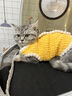 铂呐苓猫咪狗狗宠物衣服小型犬加厚保暖泰迪加菲布偶英短衣服两脚款棉衣 宠物衣服【可爱黄小熊】 S 实拍图