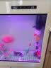 闽江（minjiang）鱼缸水族箱免换水生态造景客厅屏风中大型玻璃龙鱼缸观赏鱼家用 白色（礼包+造景+升级过滤） 长80*宽30*高139（缸体+储物柜） 实拍图
