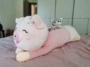 艾筱扬【当次日达】小猪猪抱枕公仔娃娃毛绒玩具睡觉抱七夕情人节礼物女 粉色眯眼（开心每一天） 1.2米 实拍图