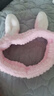 发带女洗脸简约敷面膜发带头箍头套韩版学生可爱头饰发饰小动物 1件 兔耳粉色1件 实拍图