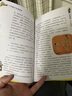 少年趣读中国通史（全12册）上古夏商西周+春秋+战国+秦+汉+三国+两晋南北朝+隋唐+宋+元+明+清 实拍图