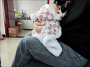 阿莫尔猫咪衣服秋冬保暖披风毛毯斗篷小型犬德文布偶猫睡袍狗狗被子披肩 紫色【披风毛毯两用】 S 建议6斤内  具体看尺码 实拍图