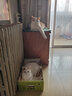 优趣无谷冻干多拼猫粮1.5kg幼猫成猫成年冻干猫粮（爱好者系列） (冻干爱好者)冻干双拼猫粮10kg 实拍图