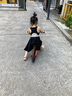 ThinkerKids平衡车儿童无脚踏单车滑步车2-6岁滑行车宝宝滑行车12寸 C款克罗橙12寸竞技款90-120CM 实拍图