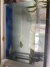 舒博莱特（SHUBOLAITE）鱼缸水族箱懒人家用客厅小型迷你生态桌面金鱼缸造景玻璃过滤鱼缸 600官方标配 【无造景】 + 养鱼大礼包 实拍图