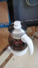 金灶（KAMJOVE） 养生壶煮茶器喷淋式煮茶炉白茶壶黑茶壶办公室家用蒸汽煮茶壶1L 白色搭配小茶杯两个 实拍图