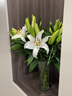 悦多彩AB级优质香水百合 家庭办公室各色生活鲜花 昆明基地 现采直发 白色百合花30朵（3头10枝） 实拍图
