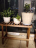 华观家居（Home Giving Furniture）凳子实木花架客厅花盆简约现代阳台木制阶梯多肉绿箩植物组合花架 实拍图