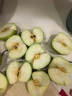 财莱乐新西兰进口青苹果新鲜水果酸甜苹果孕妇水果高端进口 青苹果12个（单果160 -190g） 晒单实拍图