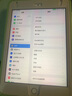 Apple 苹果平板电脑 iPad mini5 二手平板电脑 银色 64G WiFi+4G 实拍图