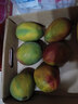 鲜福林云南大青芒新鲜应季水果甜心青皮芒果 大果4.5斤装单果600g+ 实拍图