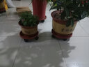 周凡 万向轮移动托盘花架 花托 滚轮花盆底座 大型花卉 可存水带轮 加厚红平面26型4轮 实拍图
