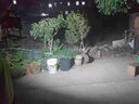 独步者（DUBUZHE）led充电照明灯工地户外投光灯超亮移动便携式露营探照灯超长续航 功率（100W）4-8h 四档 48灯珠 实拍图