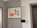 柳莺花燕免打孔电表箱装饰画现代简约客厅餐厅挂画电闸箱配电箱遮挡壁画 喜乐平安 70X50遮挡60X40 液压款 实拍图