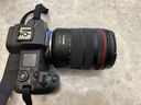 佳能（Canon）RF 24-105mm F4 L IS USM 标准变焦镜头 微单镜头（全画幅EOS R系统专用）适用于 R RP系列 实拍图