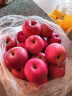 聚牛果园烟台红富士苹果5斤 简装 时令生鲜水果 富士果径85-90mm5斤特大果 新鲜苹果 实拍图