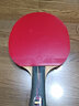 729普及套彩色乒乓球胶皮乒乓球拍反胶套胶正反手训练用入门胶皮 普及型套胶_红色 中硬 实拍图