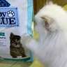 蓝馔（BLUE BUFFALO）幼猫粮奶糕幼猫专用鸡肉配方营养无谷猫粮1到12月增肥促发育 4.5磅/2kg【效期至24/12/9】 实拍图