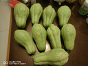 蔬果哆 新鲜蔬菜 云南特产 佛手瓜 嫩瓜 捧瓜窝瓜 2.5kg(一箱五斤) 实拍图