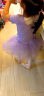 铁箭（TIEJIAN） 儿童舞蹈服女童练功形体服蓬蓬裙连体服芭蕾舞演出服培训班服装 浅紫色短袖 120cm 实拍图