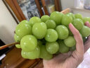 果贤达晴王阳光玫瑰葡萄日本引进品种当季新鲜无核无籽香印葡萄水果 5斤 【礼盒装】 实拍图