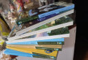 神奇树屋中英双语版一季盒装全8册（1-8册）儿童文学奇幻冒险故事自然科学主题少儿科普读物中小学生英语读物 实拍图