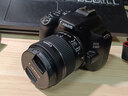 佳能（Canon）250D IS STM 佳能单反相机 迷你单反 自拍神器 250D+18-55 IS STM 套机（200D二代200DII海外版） 实拍图