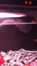 森森 SUNSUN鱼缸吹粪器造浪泵迷你冲浪泵水族箱潜水小型底部环流泵 佳璐单头3W吸盘款(建议60cm以下) 晒单实拍图