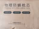 棉小茵 德国依沃珑evolon防螨虫床上用品防螨枕套枕头套透气 儿童套子 防尘螨学生白色 依沃珑枕套 48*73cm 实拍图