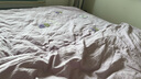 多忆绵眠（duoyimianmian）新疆长绒棉被芯全棉花被子手工棉絮棉胎褥子床垫加厚保暖冬被单人 新疆长绒棉被5斤 220*240cm 实拍图