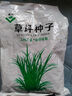 美外 草坪种子 护坡草籽草皮种子庭院免修剪耐寒草坪草绿化工程 耐寒耐旱四季青K88 实拍图