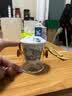 杰艺泡茶壶红茶茶具茶壶玻璃陶瓷过滤双耳泡茶器功夫茶壶花茶冲茶器 泡茶器-风景 实拍图