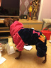 派可为（TOM CAT）狗狗衣服小狗博美比熊泰迪犬中小型犬四脚衣宠物猫咪秋冬装情侣服 蓝色papa 冬款 单件 XS 实拍图